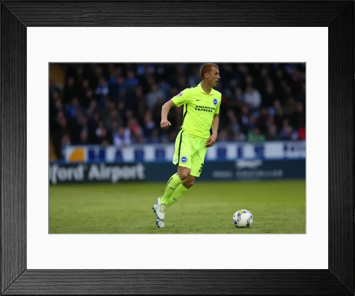 Framed Print : Brighton and Hove Albion vs Sheffield Wednesday: Sky Bet Championship Play-Off Showdown at Hillsborough (May 2016) Framed Print : Brighton and Hove Albion vs Sheffield Wednesday: Sky Bet Championship Play-Off Showdown at Hillsborough (May 2016)