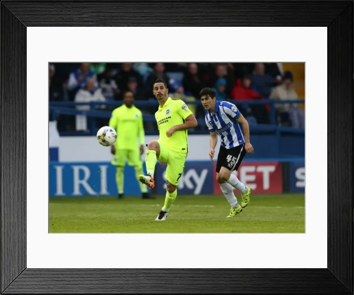 Framed Print : Brighton and Hove Albion vs. Sheffield Wednesday: Championship Play-Off Clash at Hillsborough (May 2016) Framed Print : Brighton and Hove Albion vs. Sheffield Wednesday: Championship Play-Off Clash at Hillsborough (May 2016)