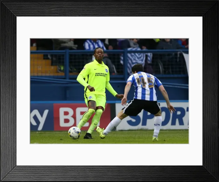 Framed Print : Brighton and Hove Albion vs. Sheffield Wednesday: Championship Play-Off Showdown (May 2016)