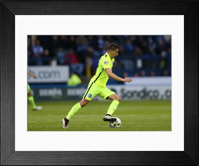 Framed Print : Brighton and Hove Albion vs. Sheffield Wednesday: Championship Play-Off Clash at Hillsborough (May 2016)
