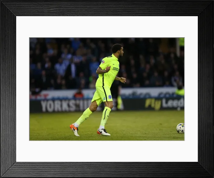 Framed Print : Brighton and Hove Albion vs. Sheffield Wednesday: Championship Play-Off Showdown (May 2016) Framed Print : Brighton and Hove Albion vs. Sheffield Wednesday: Championship Play-Off Showdown (May 2016)