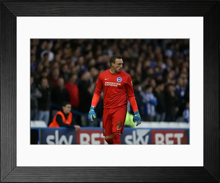 Framed Print : Brighton and Hove Albion vs. Sheffield Wednesday: Championship Play-Off Showdown (May 2016) Framed Print : Brighton and Hove Albion vs. Sheffield Wednesday: Championship Play-Off Showdown (May 2016)