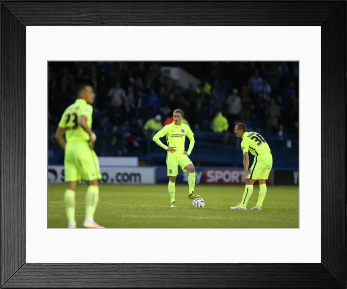 Framed Print : Brighton and Hove Albion's Play-Off Battle: Sheffield Wednesday Showdown (May 2016) Framed Print : Brighton and Hove Albion's Play-Off Battle: Sheffield Wednesday Showdown (May 2016)