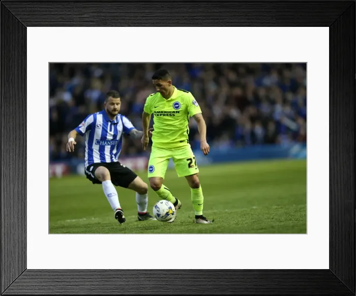 Framed Print : Brighton and Hove Albion vs. Sheffield Wednesday: Championship Play-Off Showdown (May 2016) Framed Print : Brighton and Hove Albion vs. Sheffield Wednesday: Championship Play-Off Showdown (May 2016)