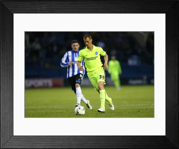 Framed Print : Brighton and Hove Albion vs. Sheffield Wednesday: Championship Play-Off Clash at Hillsborough (May 2016) Framed Print : Brighton and Hove Albion vs. Sheffield Wednesday: Championship Play-Off Clash at Hillsborough (May 2016)