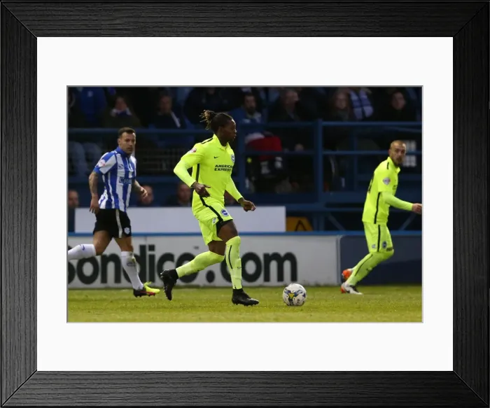 Framed Print : Brighton and Hove Albion vs Sheffield Wednesday: Sky Bet Championship Play-Off Showdown at Hillsborough (May 2016)