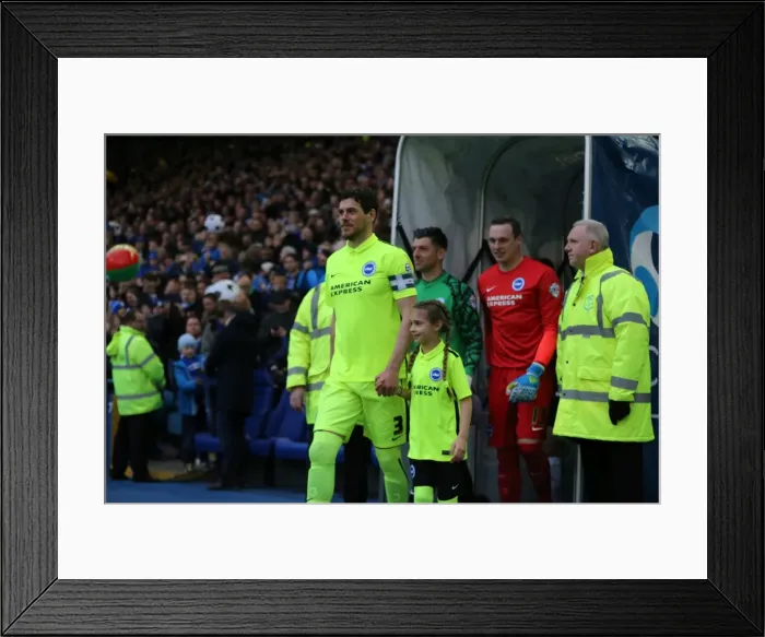 Framed Print : Brighton and Hove Albion vs Sheffield Wednesday: Sky Bet Championship Play-Off Showdown at Hillsborough (May 2016) Framed Print : Brighton and Hove Albion vs Sheffield Wednesday: Sky Bet Championship Play-Off Showdown at Hillsborough (May 2016)