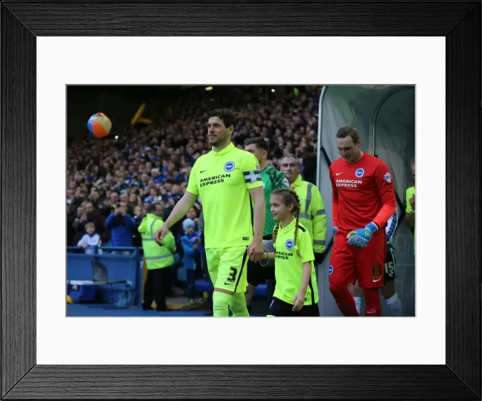 Framed Print : Brighton and Hove Albion vs. Sheffield Wednesday: Championship Play-Off Showdown (May 2016) Framed Print : Brighton and Hove Albion vs. Sheffield Wednesday: Championship Play-Off Showdown (May 2016)