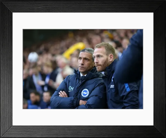 Framed Print : Brighton and Hove Albion vs Sheffield Wednesday: Sky Bet Championship Play-Off Showdown at Hillsborough (May 2016) Framed Print : Brighton and Hove Albion vs Sheffield Wednesday: Sky Bet Championship Play-Off Showdown at Hillsborough (May 2016)