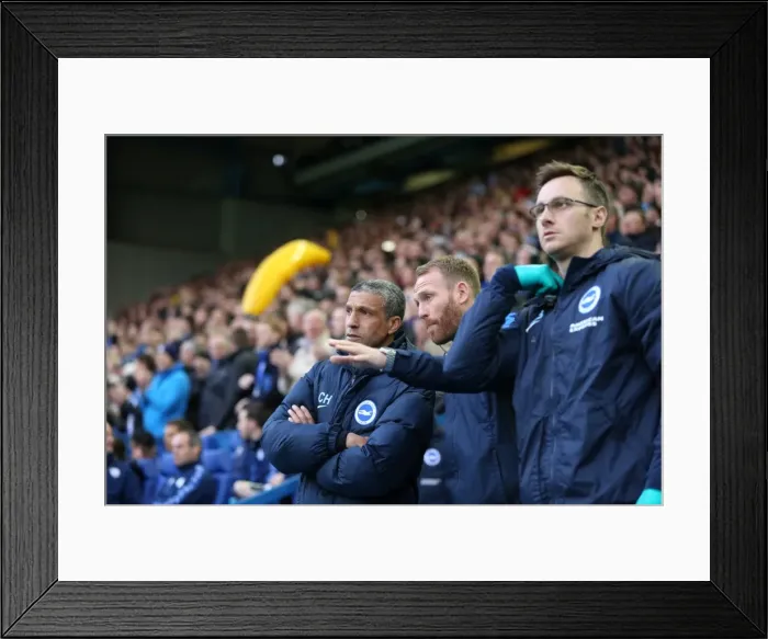 Framed Print : Brighton and Hove Albion vs. Sheffield Wednesday: Championship Play-Off Clash at Hillsborough (May 2016) Framed Print : Brighton and Hove Albion vs. Sheffield Wednesday: Championship Play-Off Clash at Hillsborough (May 2016)