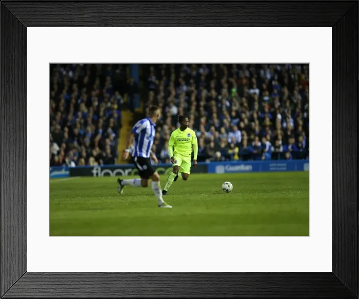Framed Print : Brighton and Hove Albion's Play-Off Thriller: First Leg vs. Sheffield Wednesday at Hillsborough (May 2016) Framed Print : Brighton and Hove Albion's Play-Off Thriller: First Leg vs. Sheffield Wednesday at Hillsborough (May 2016)