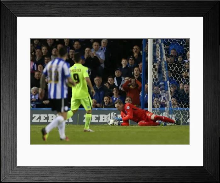 Framed Print : Brighton and Hove Albion's Play-Off Battle: Sheffield Wednesday Showdown (May 2016) Framed Print : Brighton and Hove Albion's Play-Off Battle: Sheffield Wednesday Showdown (May 2016)