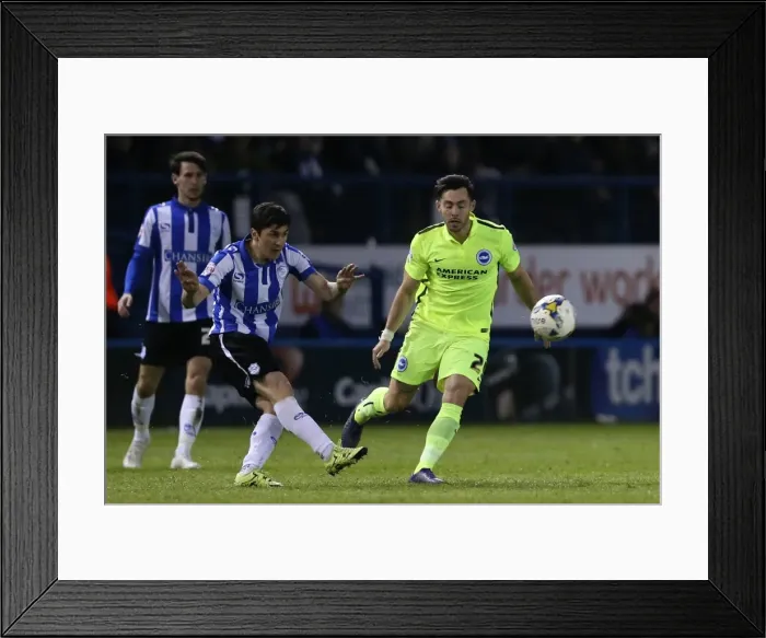Framed Print : Brighton and Hove Albion vs Sheffield Wednesday: Sky Bet Championship Play-Off Showdown at Hillsborough (May 2016) Framed Print : Brighton and Hove Albion vs Sheffield Wednesday: Sky Bet Championship Play-Off Showdown at Hillsborough (May 2016)