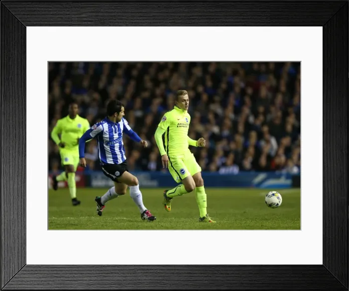 Framed Print : Brighton and Hove Albion's Play-Off Pursuit: Sheffield Wednesday Showdown (May 2016) Framed Print : Brighton and Hove Albion's Play-Off Pursuit: Sheffield Wednesday Showdown (May 2016)