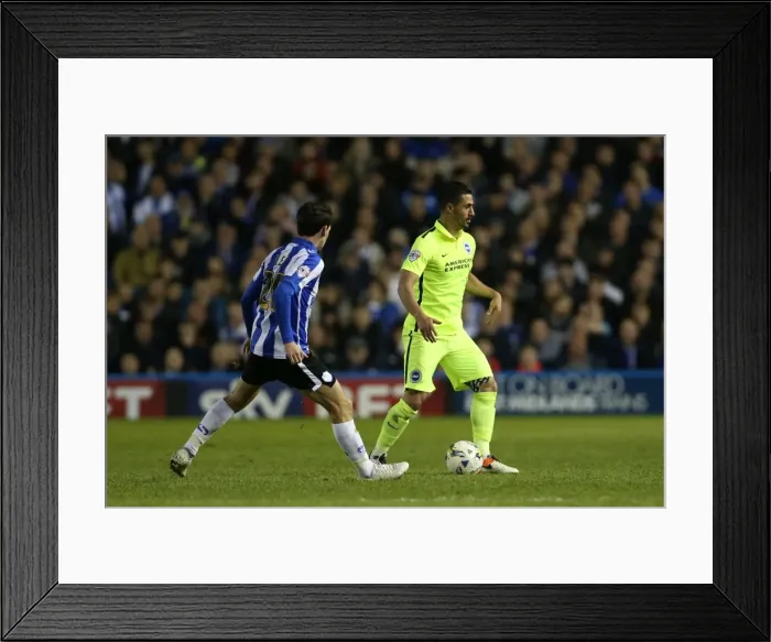 Framed Print : Brighton and Hove Albion vs Sheffield Wednesday: Sky Bet Championship Play-Off Showdown at Hillsborough (May 2016) Framed Print : Brighton and Hove Albion vs Sheffield Wednesday: Sky Bet Championship Play-Off Showdown at Hillsborough (May 2016)