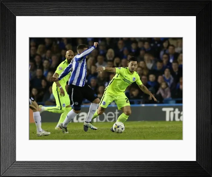 Framed Print : Brighton and Hove Albion vs. Sheffield Wednesday: Championship Play-Off Clash at Hillsborough (May 2016) Framed Print : Brighton and Hove Albion vs. Sheffield Wednesday: Championship Play-Off Clash at Hillsborough (May 2016)