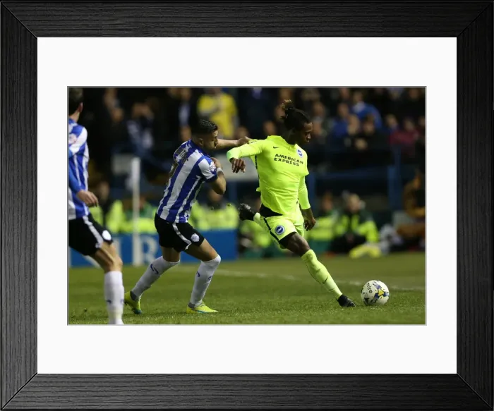 Framed Print : Brighton and Hove Albion vs. Sheffield Wednesday: Championship Play-Off Clash at Hillsborough (May 2016) Framed Print : Brighton and Hove Albion vs. Sheffield Wednesday: Championship Play-Off Clash at Hillsborough (May 2016)