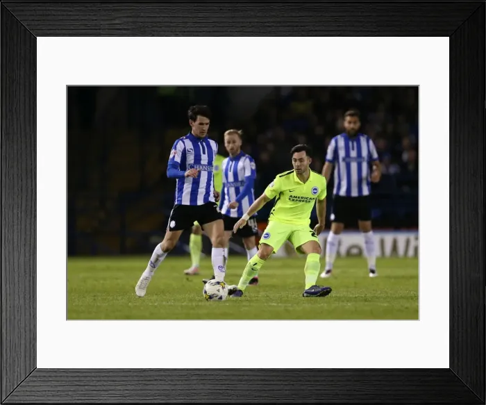 Framed Print : Brighton and Hove Albion vs. Sheffield Wednesday: Championship Play-Off Clash at Hillsborough (May 2016) Framed Print : Brighton and Hove Albion vs. Sheffield Wednesday: Championship Play-Off Clash at Hillsborough (May 2016)