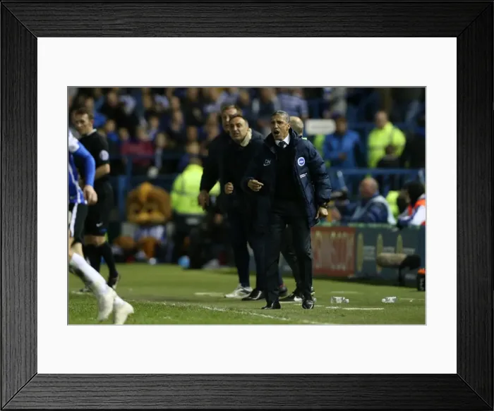 Framed Print : Brighton and Hove Albion's Play-Off Battle: Sheffield Wednesday Showdown (May 2016) Framed Print : Brighton and Hove Albion's Play-Off Battle: Sheffield Wednesday Showdown (May 2016)