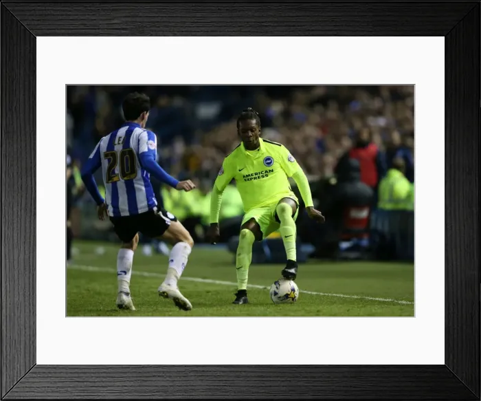 Framed Print : Brighton and Hove Albion vs. Sheffield Wednesday: Championship Play-Off Clash at Hillsborough (May 2016) Framed Print : Brighton and Hove Albion vs. Sheffield Wednesday: Championship Play-Off Clash at Hillsborough (May 2016)