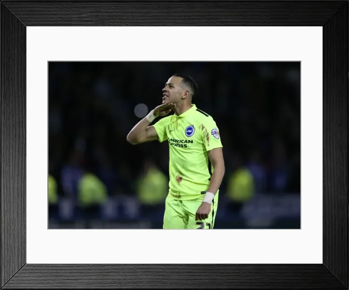 Framed Print : Brighton and Hove Albion vs Sheffield Wednesday: Sky Bet Championship Play-Off Showdown at Hillsborough (May 2016) Framed Print : Brighton and Hove Albion vs Sheffield Wednesday: Sky Bet Championship Play-Off Showdown at Hillsborough (May 2016)