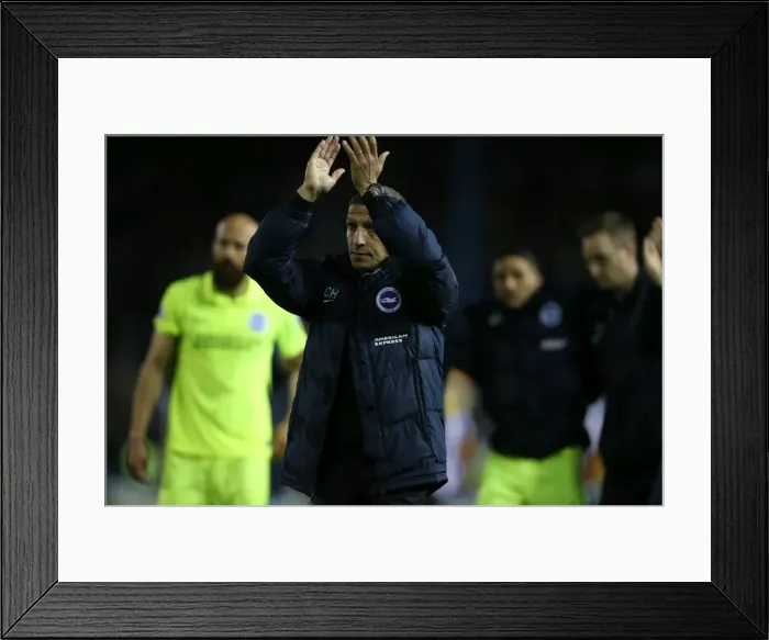 Framed Print : Brighton and Hove Albion vs Sheffield Wednesday: Sky Bet Championship Play-Off Clash at Hillsborough (May 2016)