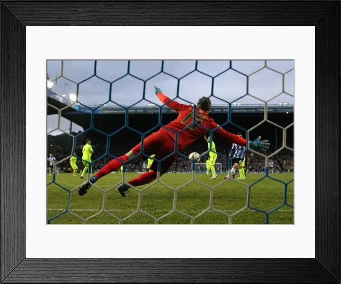 Framed Print : Brighton and Hove Albion vs Sheffield Wednesday: Sky Bet Championship Play-Off Showdown at Hillsborough (May 2016) Framed Print : Brighton and Hove Albion vs Sheffield Wednesday: Sky Bet Championship Play-Off Showdown at Hillsborough (May 2016)