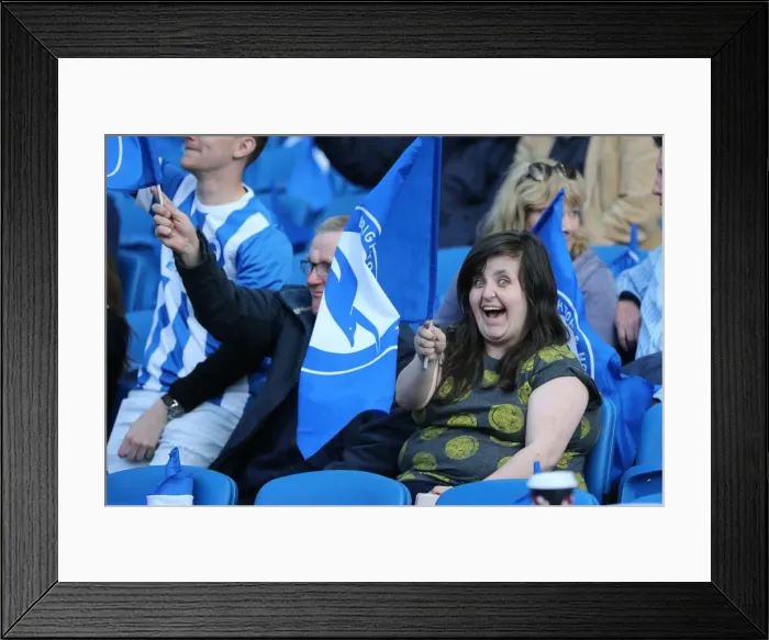 Framed Print : Championship Play-Off Showdown: Brighton & Hove Albion vs Sheffield Wednesday (16 May 2016) Framed Print : Championship Play-Off Showdown: Brighton & Hove Albion vs Sheffield Wednesday (16 May 2016)