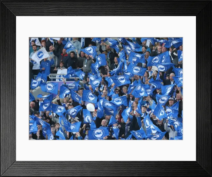 Framed Print : Play-Off Showdown: Brighton & Hove Albion vs Sheffield Wednesday (16 May 2016, American Express Community Stadium) Framed Print : Play-Off Showdown: Brighton & Hove Albion vs Sheffield Wednesday (16 May 2016, American Express Community Stadium)