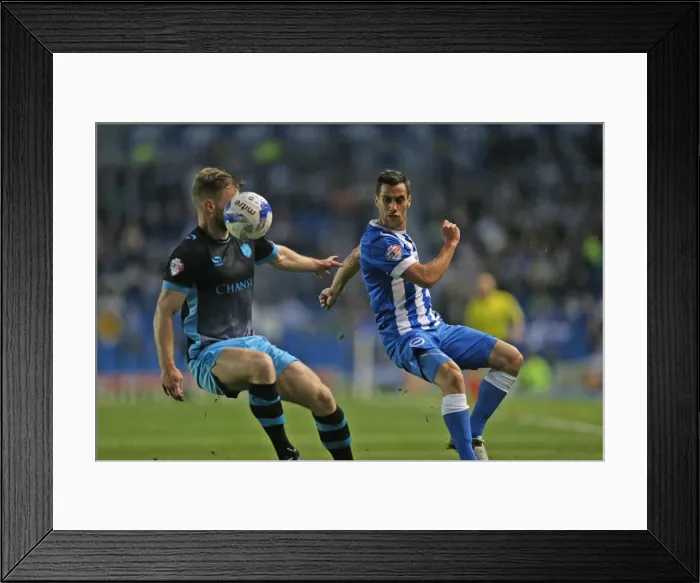 Framed Print : Brighton and Hove Albion vs Sheffield Wednesday: Sky Bet Championship Play-Off Showdown at the American Express Community Stadium (16 May 2016)