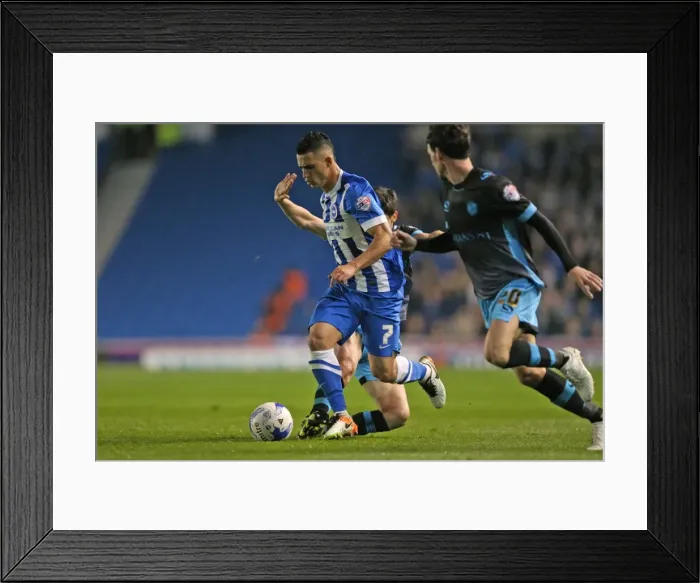 Framed Print : Brighton and Hove Albion vs. Sheffield Wednesday: Sky Bet Championship Play-Off Showdown at American Express Community Stadium (16 May 2016)