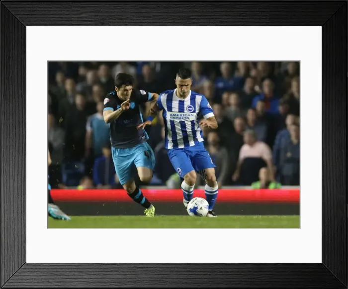 Framed Print : Brighton and Hove Albion vs Sheffield Wednesday: Sky Bet Championship Play-Off Showdown at American Express Community Stadium (16 May 2016) Framed Print : Brighton and Hove Albion vs Sheffield Wednesday: Sky Bet Championship Play-Off Showdown at American Express Community Stadium (16 May 2016)