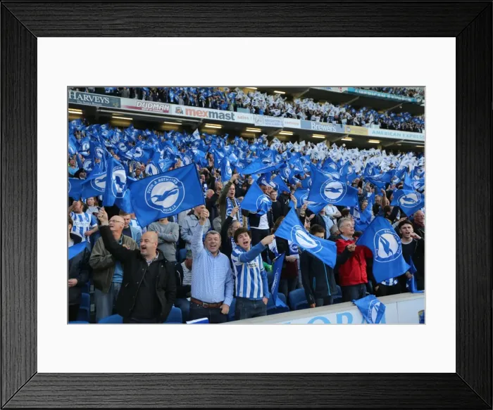Framed Print : Brighton and Hove Albion vs Sheffield Wednesday: Sky Bet Championship Play-Off Showdown at the American Express Community Stadium (16 May 2016) Framed Print : Brighton and Hove Albion vs Sheffield Wednesday: Sky Bet Championship Play-Off Showdown at the American Express Community Stadium (16 May 2016)