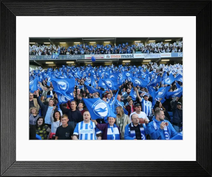 Framed Print : Brighton and Hove Albion vs Sheffield Wednesday: Sky Bet Championship Play-Off Showdown at American Express Community Stadium (16 May 2016) Framed Print : Brighton and Hove Albion vs Sheffield Wednesday: Sky Bet Championship Play-Off Showdown at American Express Community Stadium (16 May 2016)