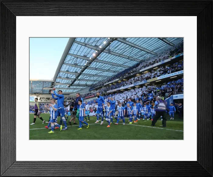 Framed Print : Brighton and Hove Albion vs Sheffield Wednesday: Sky Bet Championship Play-Off Showdown (16 May 2016) Framed Print : Brighton and Hove Albion vs Sheffield Wednesday: Sky Bet Championship Play-Off Showdown (16 May 2016)
