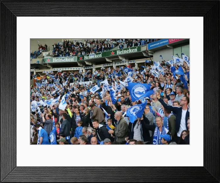 Framed Print : Brighton and Hove Albion vs Sheffield Wednesday: Sky Bet Championship Play-Off Showdown at American Express Community Stadium (May 16, 2016) Framed Print : Brighton and Hove Albion vs Sheffield Wednesday: Sky Bet Championship Play-Off Showdown at American Express Community Stadium (May 16, 2016)