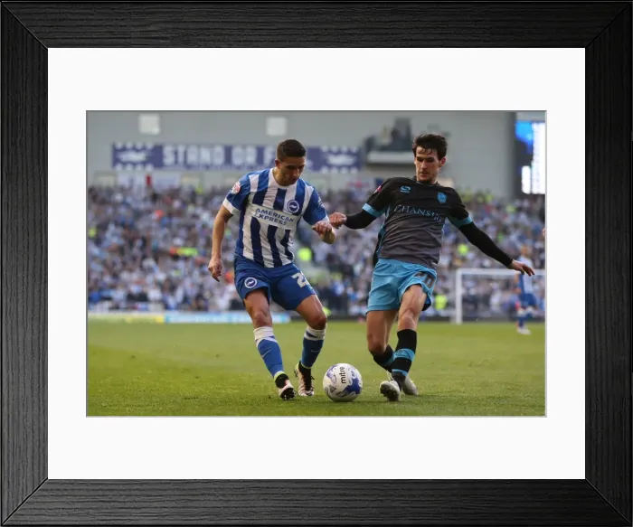 Framed Print : Brighton and Hove Albion vs Sheffield Wednesday: Sky Bet Championship Play-Off Showdown at American Express Community Stadium (16 May 2016) Framed Print : Brighton and Hove Albion vs Sheffield Wednesday: Sky Bet Championship Play-Off Showdown at American Express Community Stadium (16 May 2016)