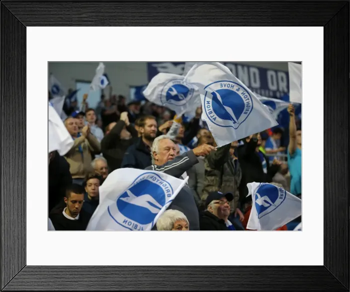 Framed Print : Brighton & Hove Albion vs Sheffield Wednesday: Play-Off Showdown at the American Express Community Stadium (16 May 2016) Framed Print : Brighton & Hove Albion vs Sheffield Wednesday: Play-Off Showdown at the American Express Community Stadium (16 May 2016)