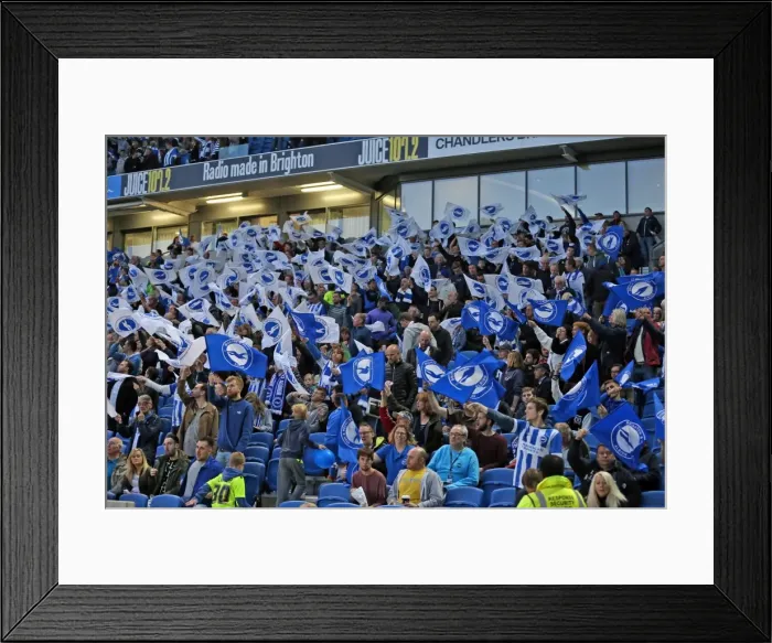 Framed Print : Brighton and Hove Albion vs. Sheffield Wednesday: Sky Bet Championship Play-Off Showdown (16 May 2016)