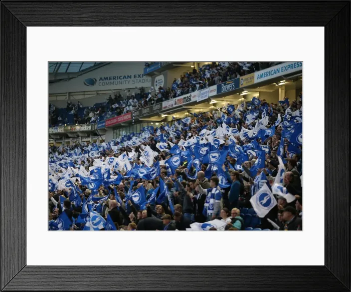 Framed Print : Brighton and Hove Albion vs Sheffield Wednesday: Sky Bet Championship Play-Off Showdown at American Express Community Stadium (16 May 2016) Framed Print : Brighton and Hove Albion vs Sheffield Wednesday: Sky Bet Championship Play-Off Showdown at American Express Community Stadium (16 May 2016)