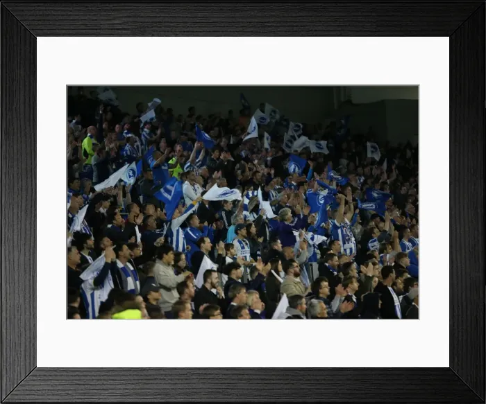 Framed Print : Brighton and Hove Albion vs Sheffield Wednesday: Sky Bet Championship Play-Off Showdown at American Express Community Stadium (16 May 2016) Framed Print : Brighton and Hove Albion vs Sheffield Wednesday: Sky Bet Championship Play-Off Showdown at American Express Community Stadium (16 May 2016)
