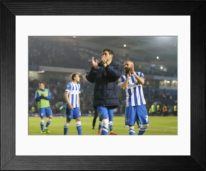 Framed Print : Brighton and Hove Albion vs Sheffield Wednesday: Sky Bet Championship Play-Off Showdown at American Express Community Stadium (16 May 2016) Framed Print : Brighton and Hove Albion vs Sheffield Wednesday: Sky Bet Championship Play-Off Showdown at American Express Community Stadium (16 May 2016)