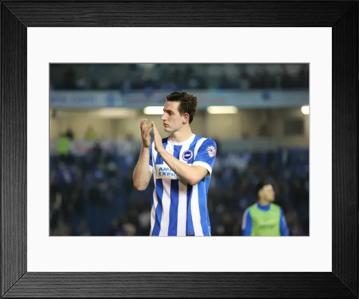 Framed Print : Brighton and Hove Albion vs Sheffield Wednesday: Sky Bet Championship Play-Off Showdown at American Express Community Stadium (16 May 2016) Framed Print : Brighton and Hove Albion vs Sheffield Wednesday: Sky Bet Championship Play-Off Showdown at American Express Community Stadium (16 May 2016)