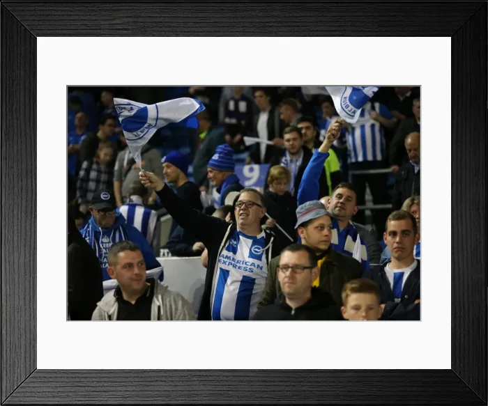 Framed Print : Brighton and Hove Albion vs Sheffield Wednesday: Sky Bet Championship Play-Off Showdown at American Express Community Stadium (16 May 2016) Framed Print : Brighton and Hove Albion vs Sheffield Wednesday: Sky Bet Championship Play-Off Showdown at American Express Community Stadium (16 May 2016)
