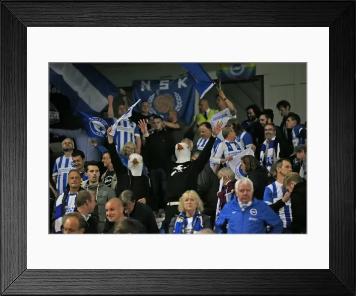 Framed Print : Brighton and Hove Albion vs Sheffield Wednesday: Sky Bet Championship Play-Off Clash at American Express Community Stadium (16 May 2016) Framed Print : Brighton and Hove Albion vs Sheffield Wednesday: Sky Bet Championship Play-Off Clash at American Express Community Stadium (16 May 2016)