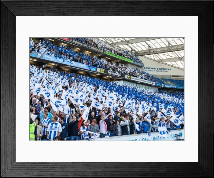 Framed Print : Brighton and Hove Albion Fans in Play-Off Frenzy: Sky Bet Championship Clash vs. Sheffield Wednesday (16MAY16) Framed Print : Brighton and Hove Albion Fans in Play-Off Frenzy: Sky Bet Championship Clash vs. Sheffield Wednesday (16MAY16)