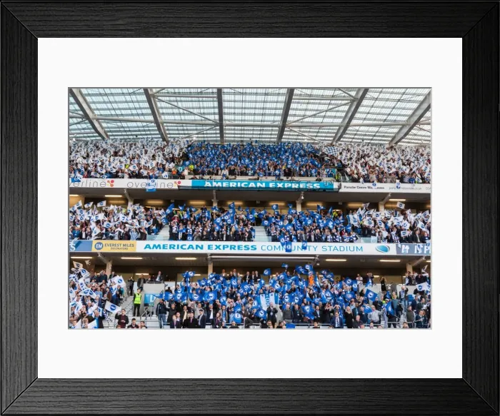Framed Print : Brighton and Hove Albion Fans Unite: Play-Off Tension at American Express Community Stadium (16MAY16) Framed Print : Brighton and Hove Albion Fans Unite: Play-Off Tension at American Express Community Stadium (16MAY16)