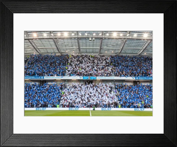 Framed Print : Brighton and Hove Albion Fans Wave Flags in Euphoric Play-Off Atmosphere Framed Print : Brighton and Hove Albion Fans Wave Flags in Euphoric Play-Off Atmosphere