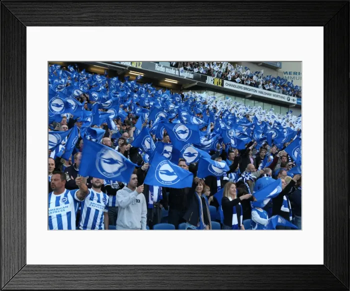 Framed Print : Brighton and Hove Albion Fans Unite: Play-Off Tension at the Sky Bet Championship (16May16) - Brighton vs. Sheffield Wednesday Framed Print : Brighton and Hove Albion Fans Unite: Play-Off Tension at the Sky Bet Championship (16May16) - Brighton vs. Sheffield Wednesday