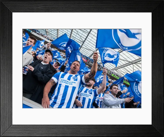 Framed Print : Brighton and Hove Albion Fans Unite: Play-Off Tension at American Express Community Stadium (16MAY16) Framed Print : Brighton and Hove Albion Fans Unite: Play-Off Tension at American Express Community Stadium (16MAY16)
